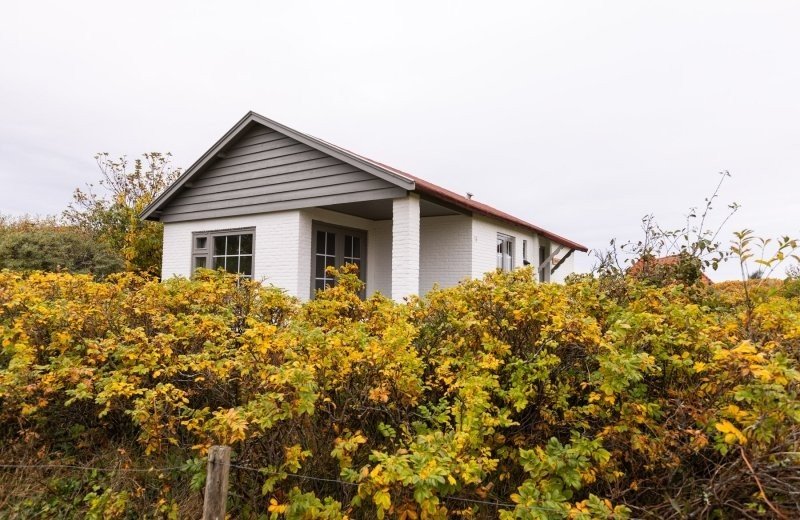 Aronweidenaar lr 8503 6756d0b4306c3