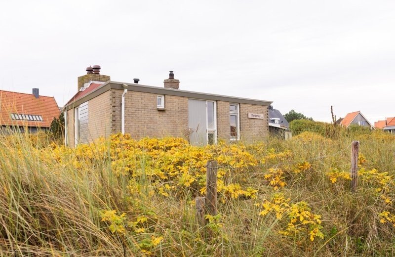 Aronweidenaar lr 8729