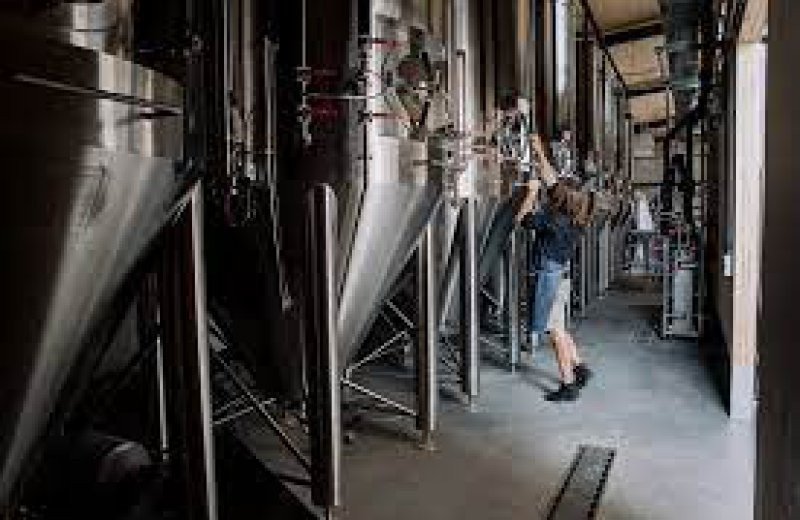 Brouwerij vlieland vliemare