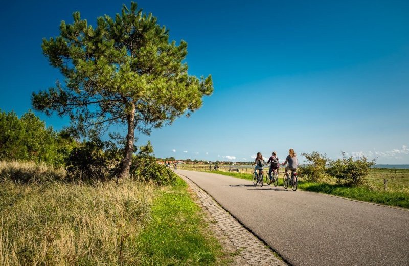 Fietsroute vlieland vliemare 2