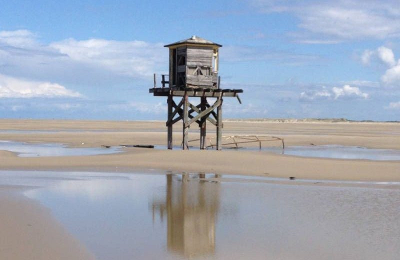 Het wad vlieland vliemare 3