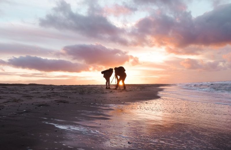 Das Wattenmeer erkunden