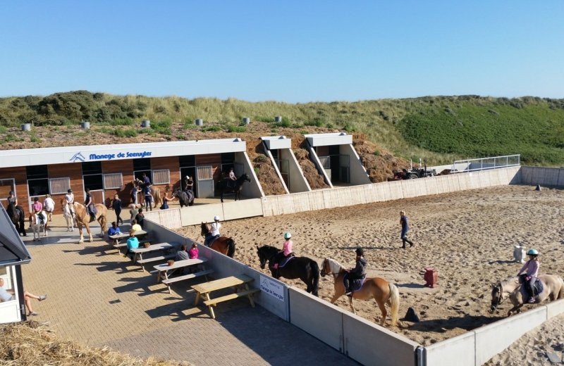 Paardenrijden vlieland vliemare 1
