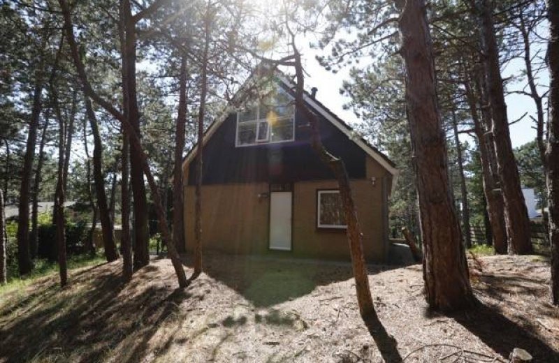 Lastminute Urlaub im Ferienhaus Vlaamse Gaai